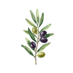 ressources naturopathe